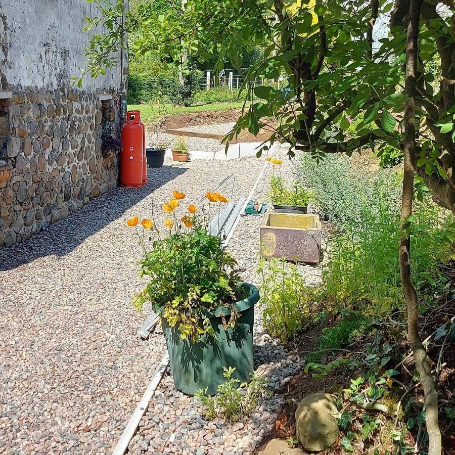 Blackshaw'S Studio Scolboa المظهر الخارجي الصورة